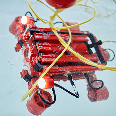 Pellentesque tristique