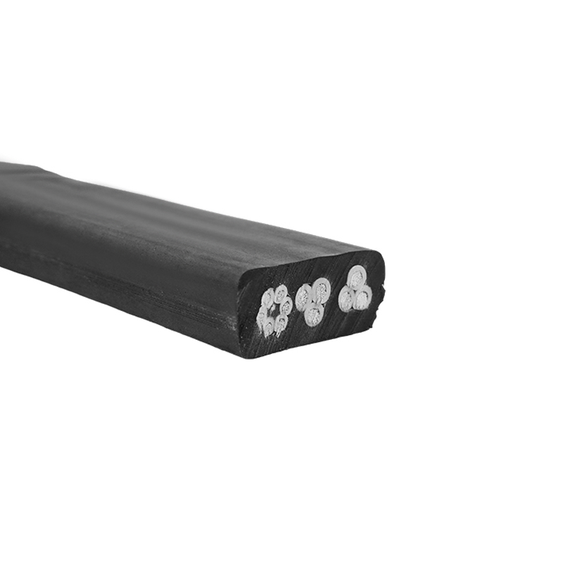 Medium Flat Generalis Flexilis Cable