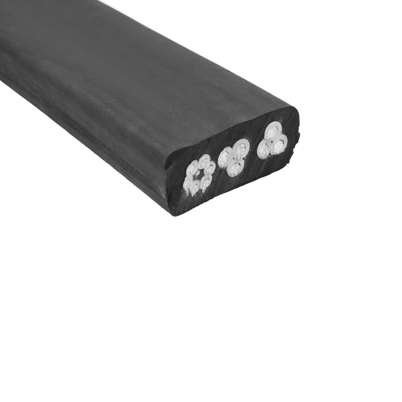 Medium Flat Generalis Flexilis Cable