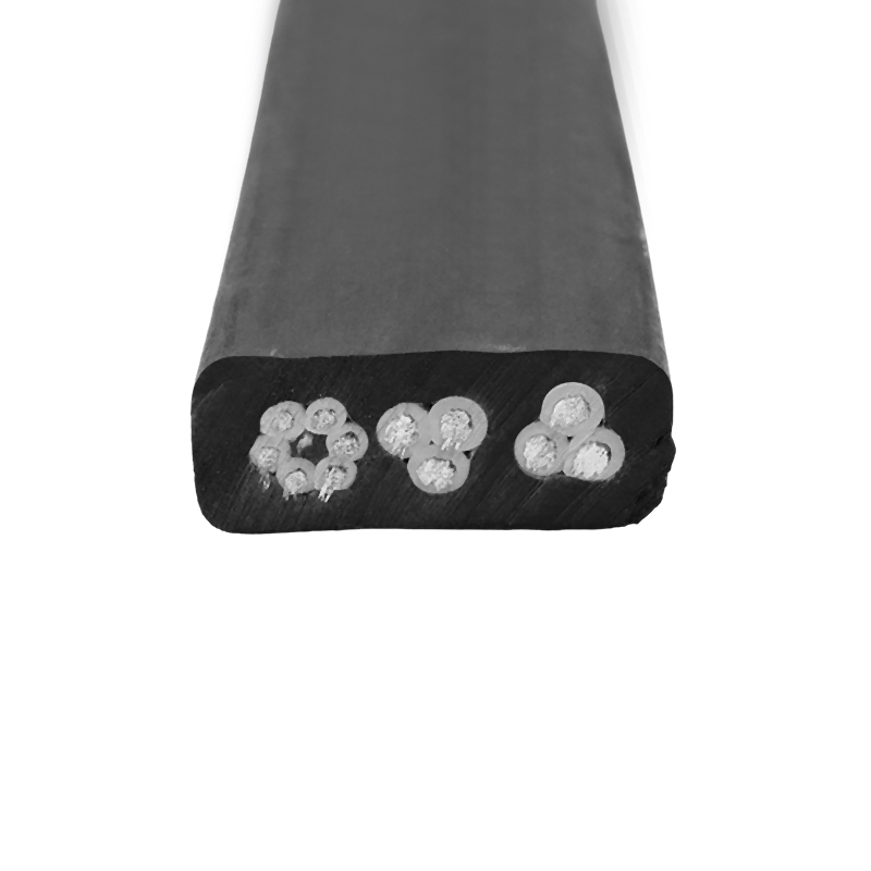 Medium Flat Generalis Flexilis Cable