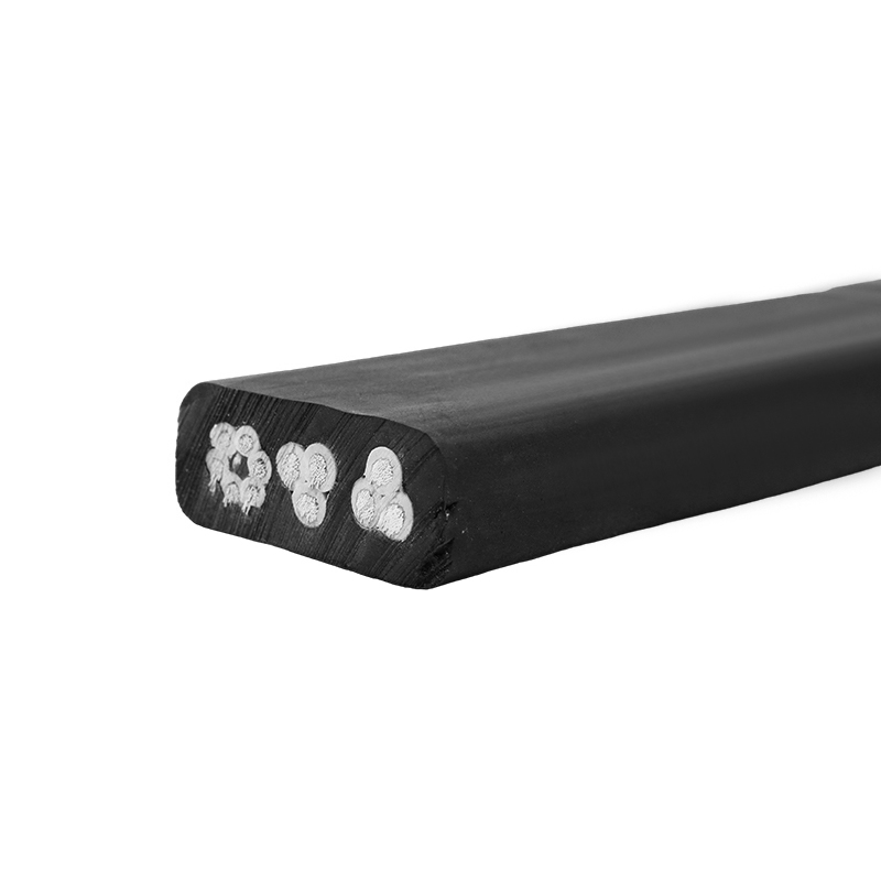 Medium Flat Generalis Flexilis Cable