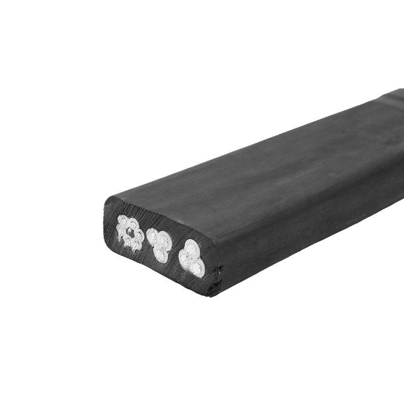 Medium Flat Generalis Flexilis Cable