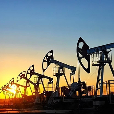 Flexilis vaginatus cable